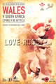 Wales v South Africa 2010 rugby  Programme
